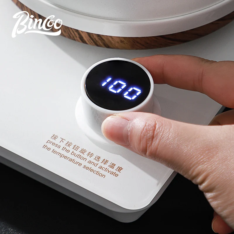 Bouilloire Électrique Bincoo p - Electric Kettle Temperature Control avis et prix